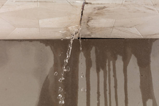Professional Water Damage Repair technician working in Frisco, TX